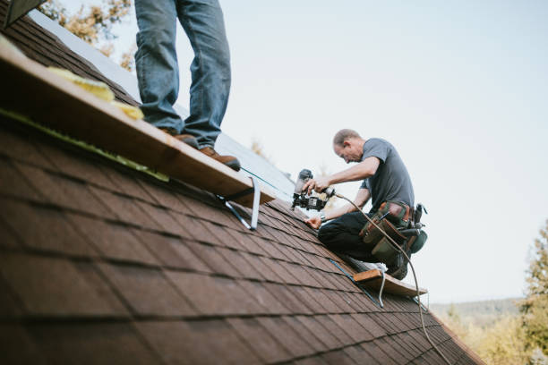 Roof Gutter Cleaning in Kemah, TX